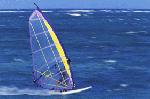 Windsurfing picture