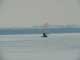 Lake simcoe